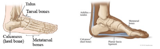 Ankle foot Pain treatment singapore